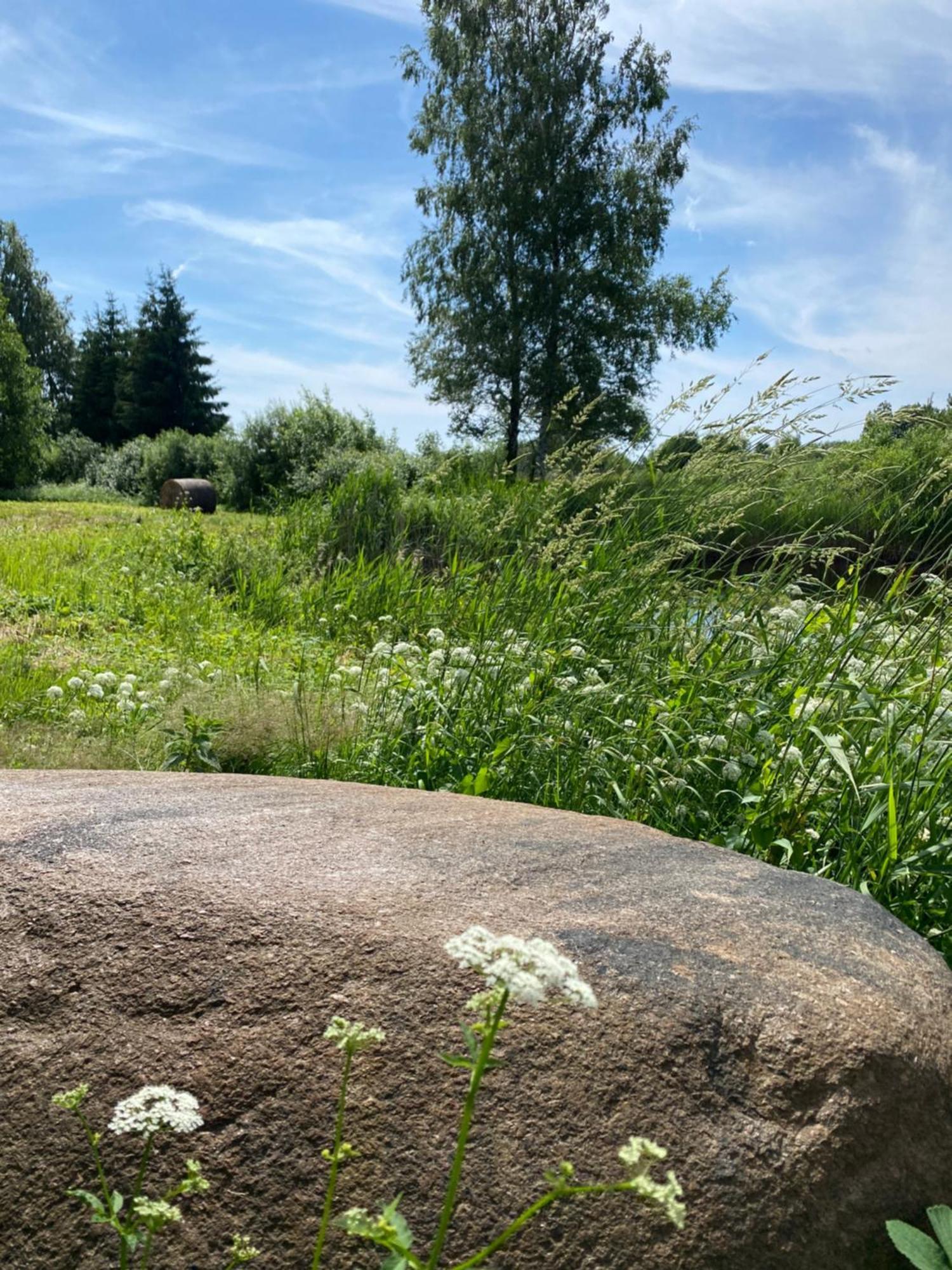 Suurkivi Nature Escape Haademeeste Luaran gambar